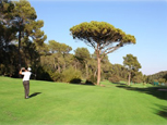 Stage de golf en Région SUD-France 